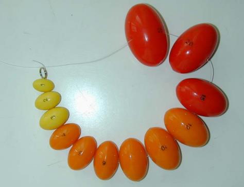 Volumetria gonadica (testicolare) e genitale: orchidometro di Prader Volumetria gonadica (testicolare) e genitale: orchidometro di Prader