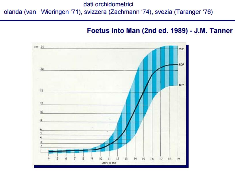curva di crescita testicolare curva di crescita testicolare