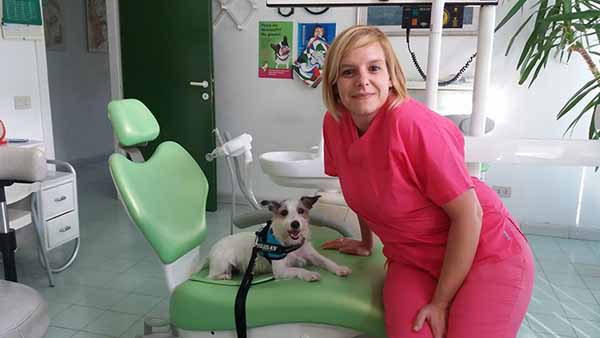 Simona Torlai, odontoiatra, con la sua assistente alla Pet Therapy Simona Torlai, odontoiatra, con la sua assistente alla Pet Therapy