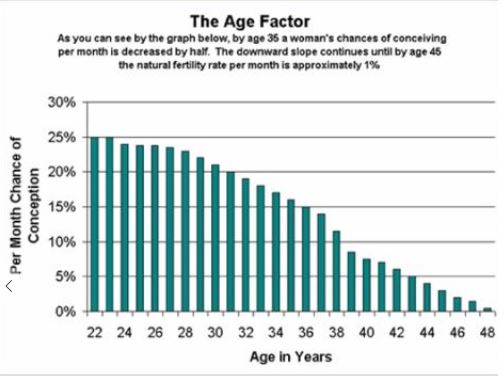 Timeline riproduttiva femminile