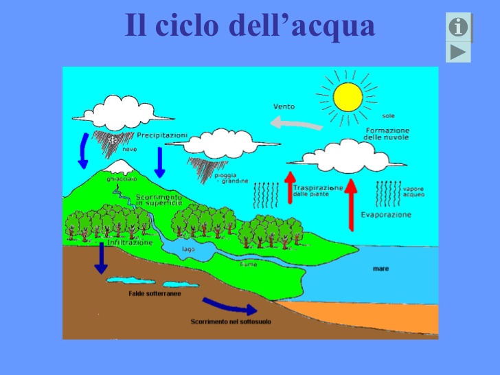 Immagine che descrive il ciclo dell'acqua Immagine che descrive il ciclo dell'acqua