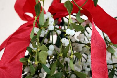 Il vischio si regala a Natale